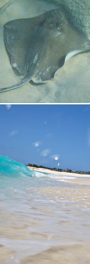slide-isole/anguilla/dog island/catacaribe_pagina_ingrandimento_dog_island_4.jpg